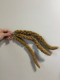 Millet Sprays