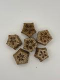 Mahogany Pod Fruit Slice