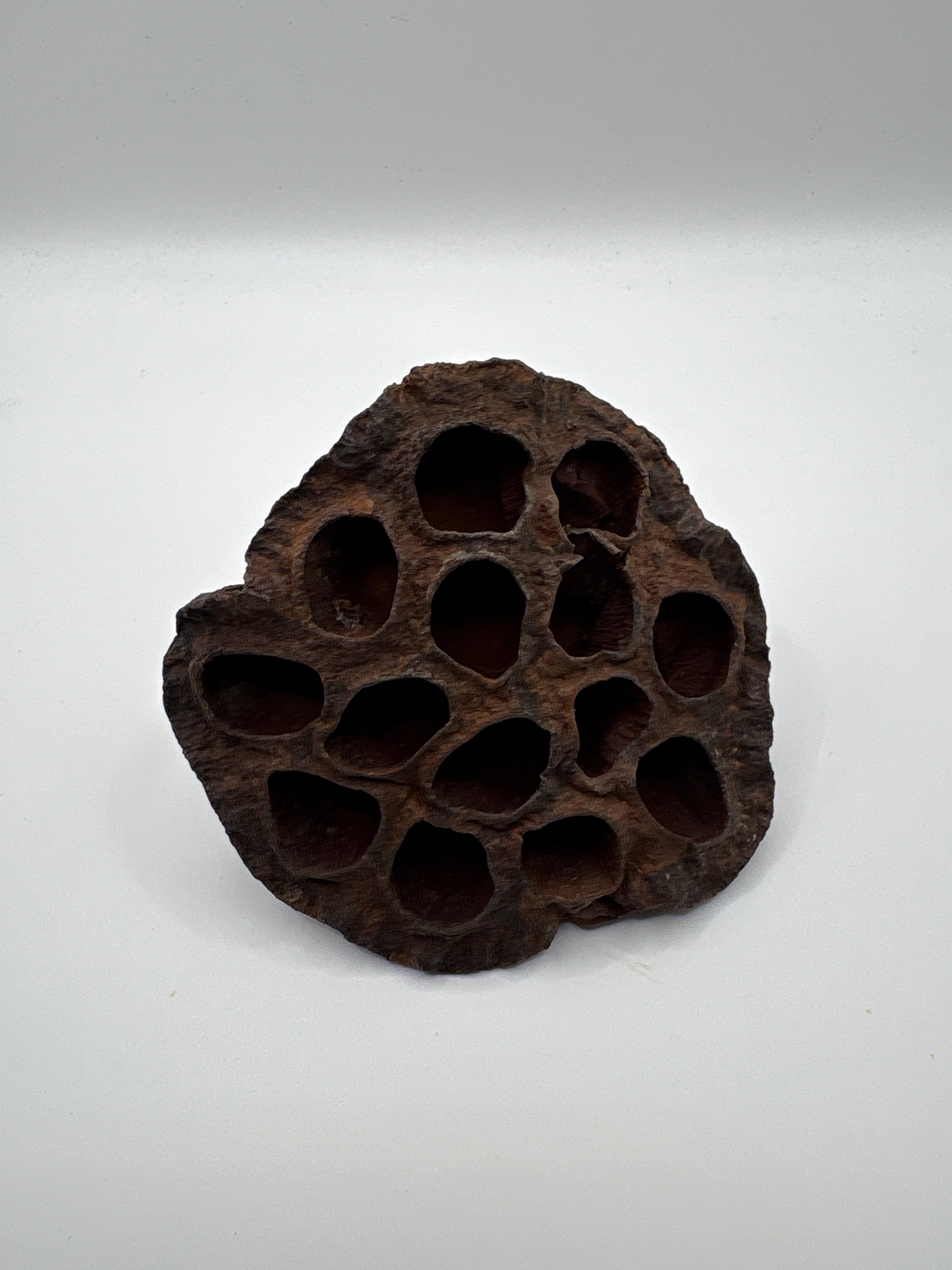 Lotus Pod