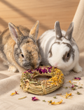 Rabbit Mystery Box