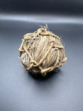 Sea Grass Brain