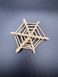 Vine Spider's Net