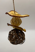 Apple Nature Orbit