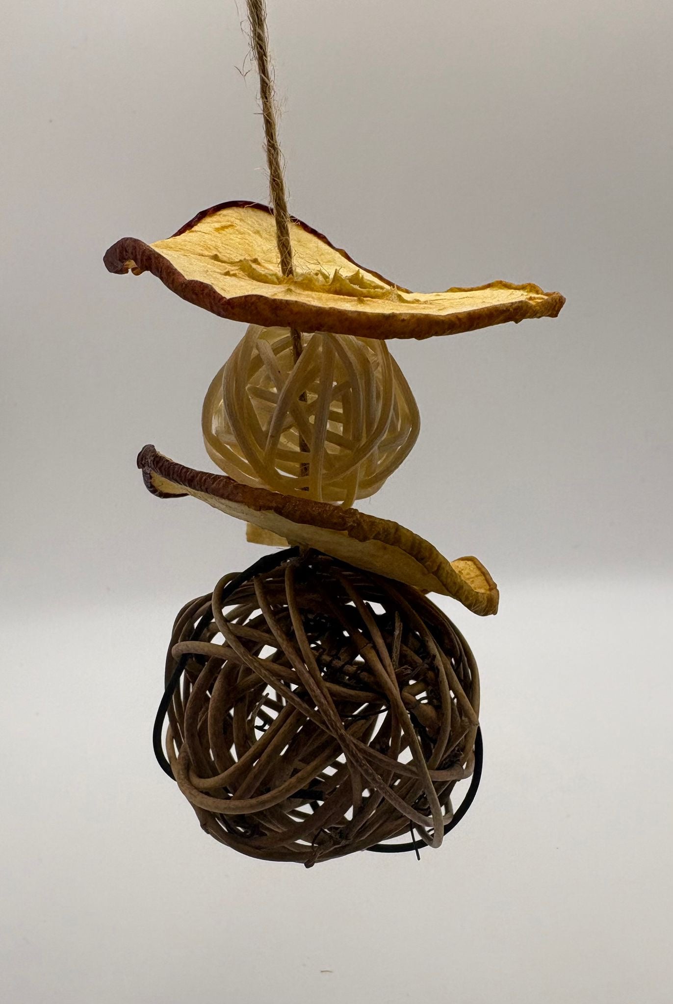 Apple Nature Orbit