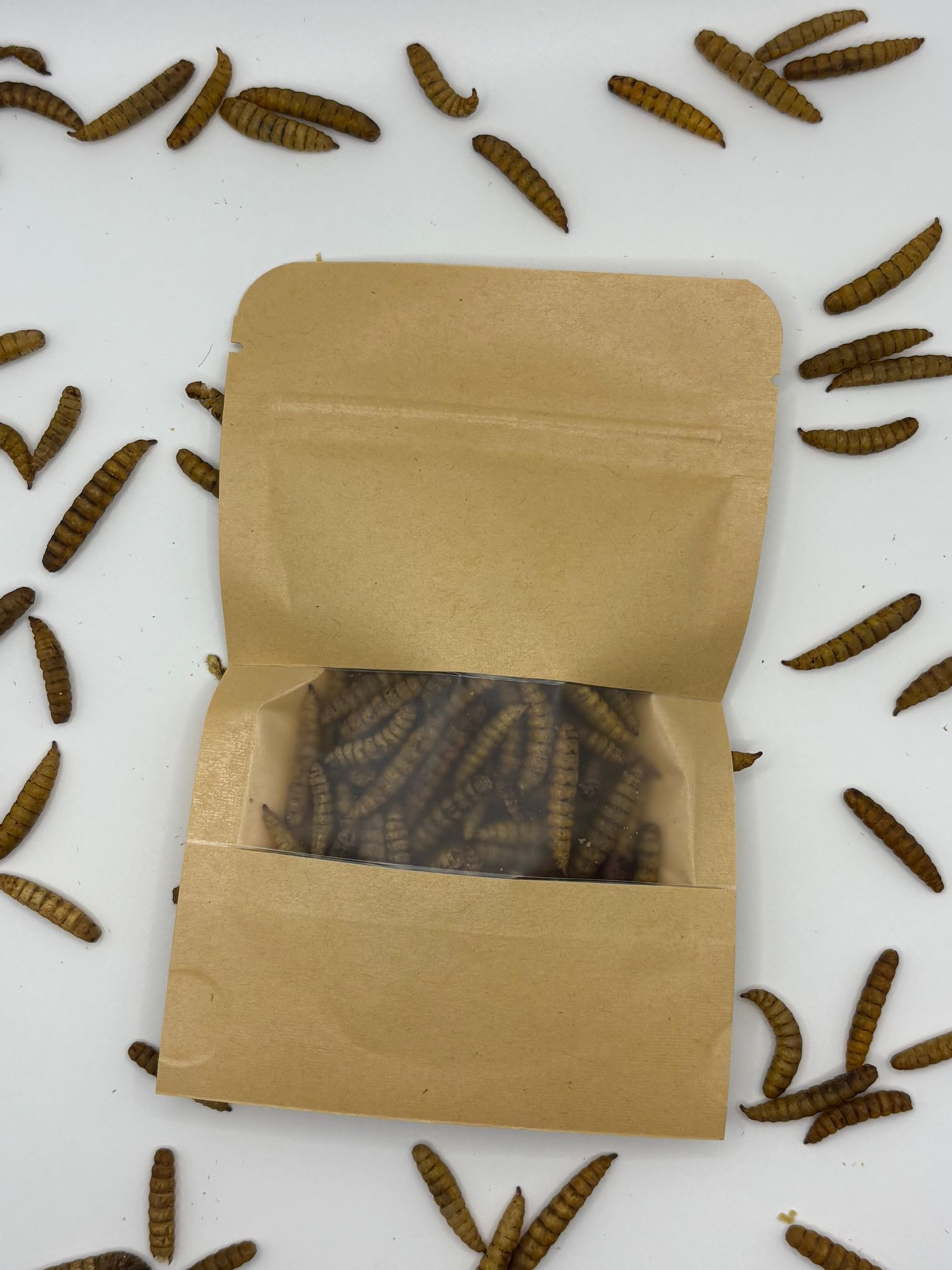Dried Calci Worms