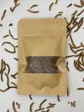 Dried Mealworms