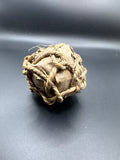 Banana Leaf Brain