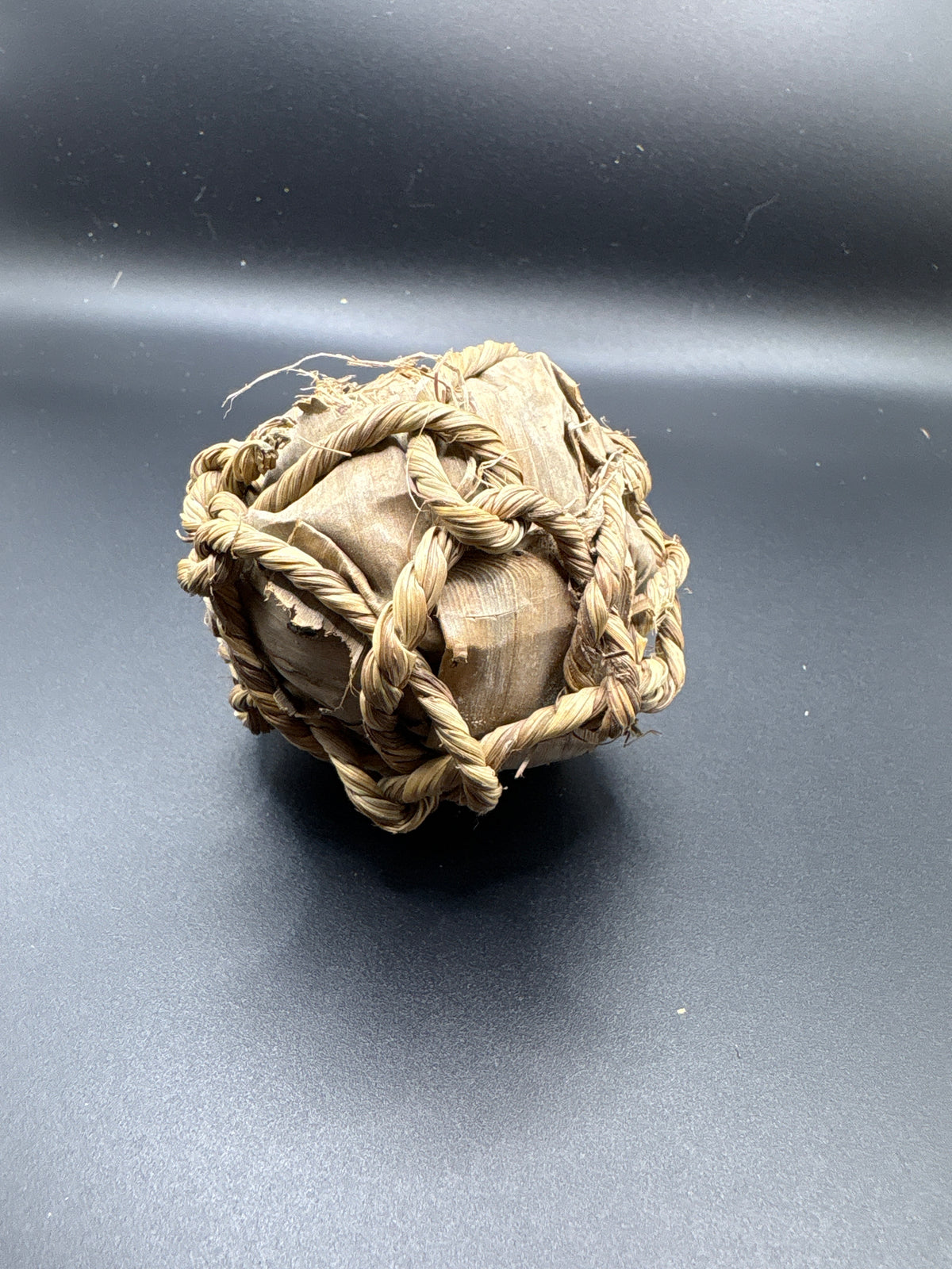 Banana Leaf Brain