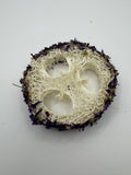 Blue Mallow Loofah