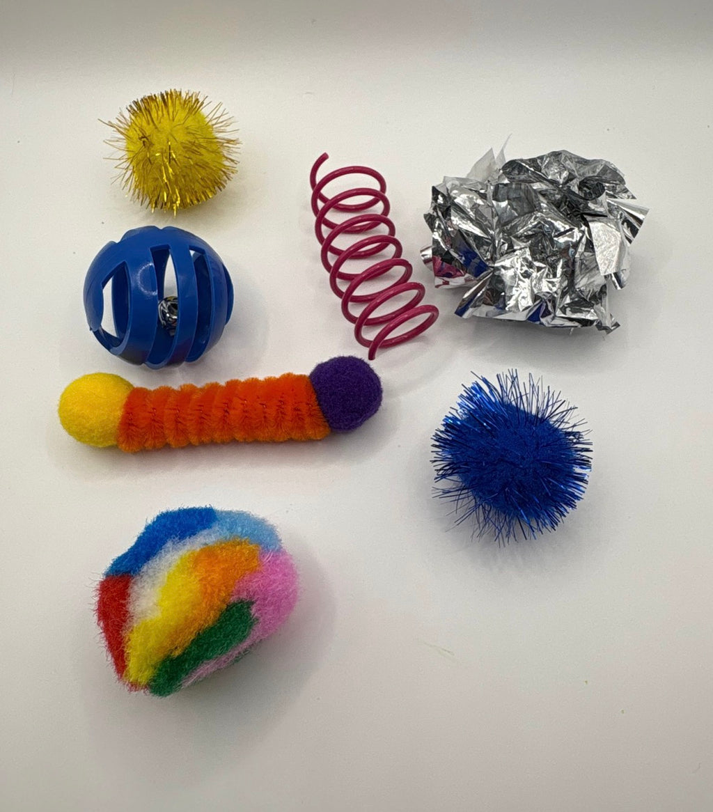 Cat Play Pack