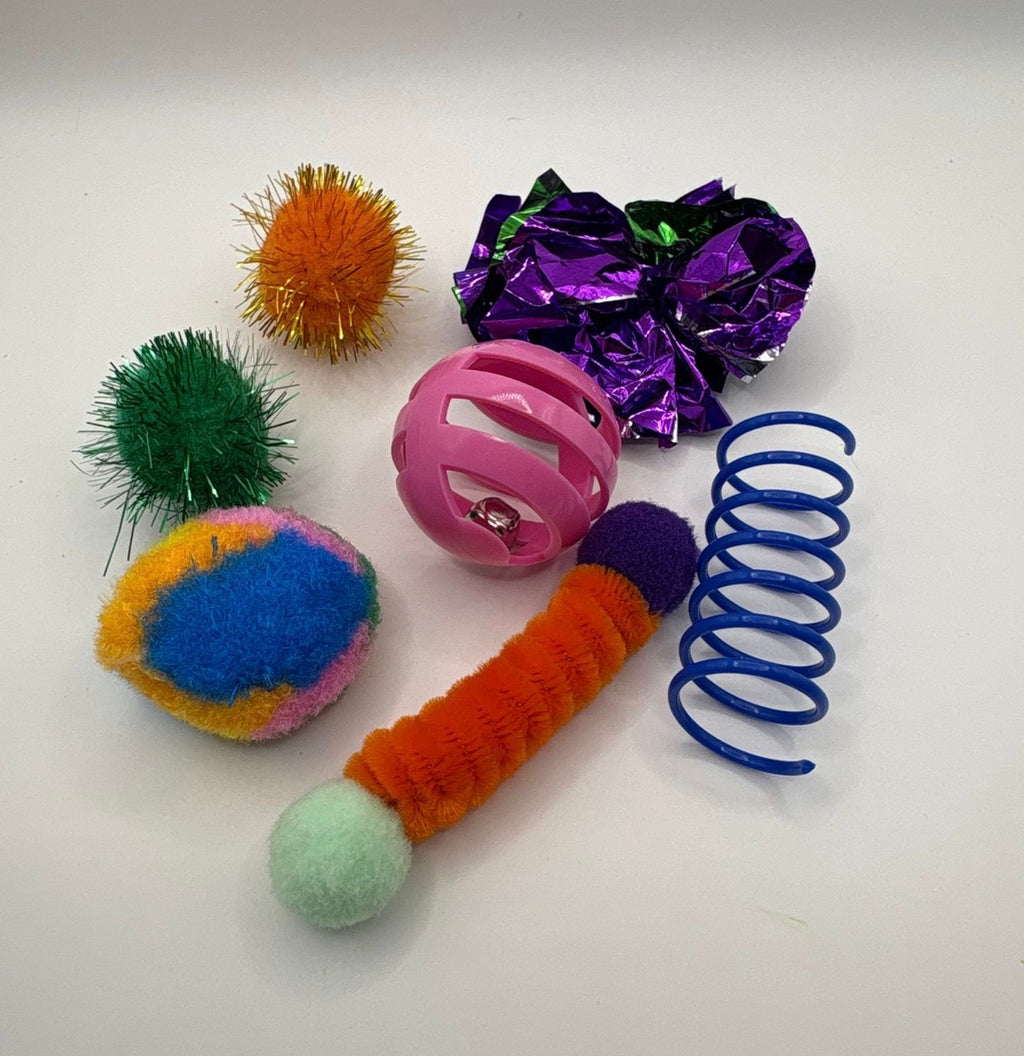 Cat Play Pack