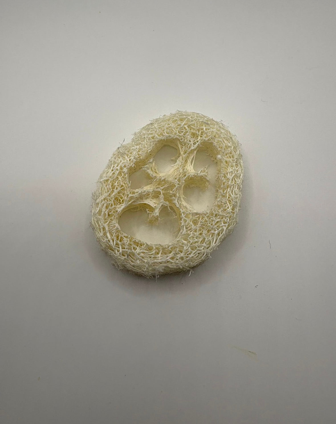 Loofah