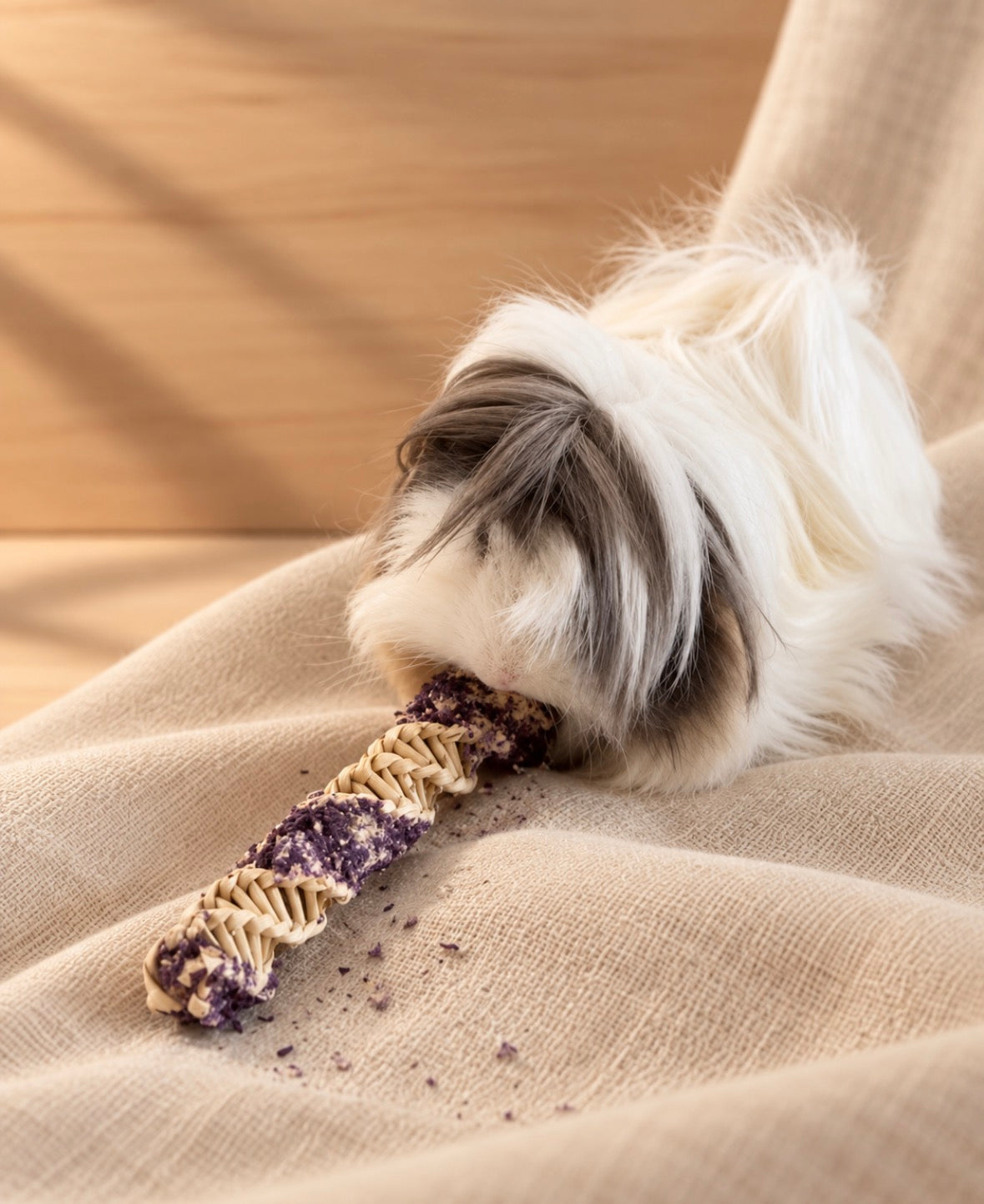 Guinea Pig Mystery Box
