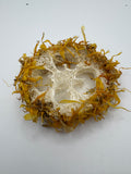 Marigold Loofah