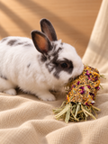 Rabbit Mystery Box