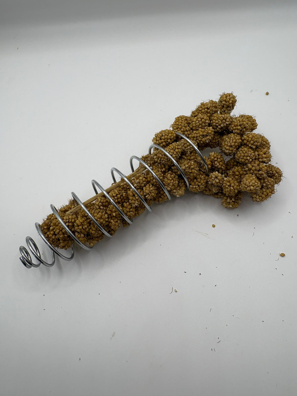 Millet Feeder