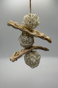 Nature Orbit
