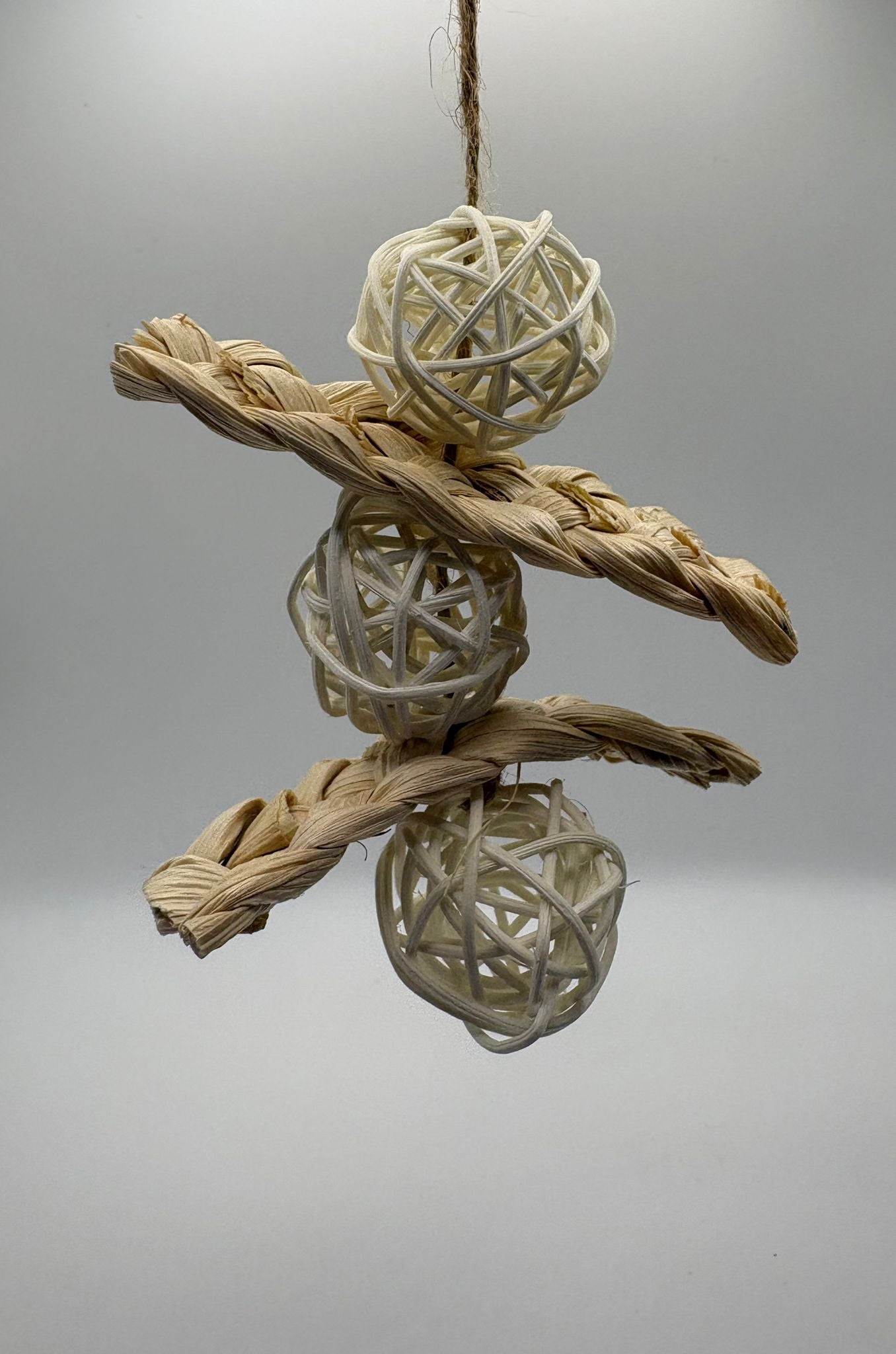 Nature Orbit