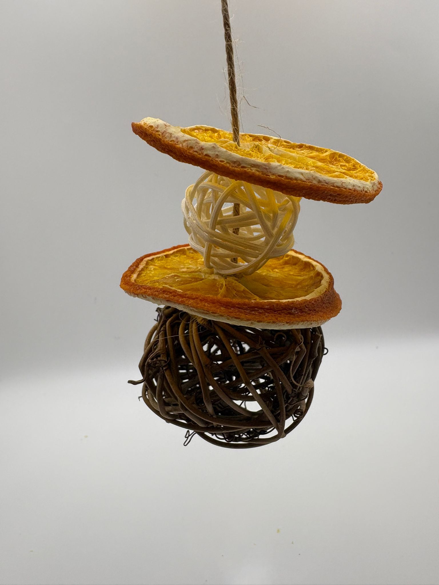 Orange Nature Orbit
