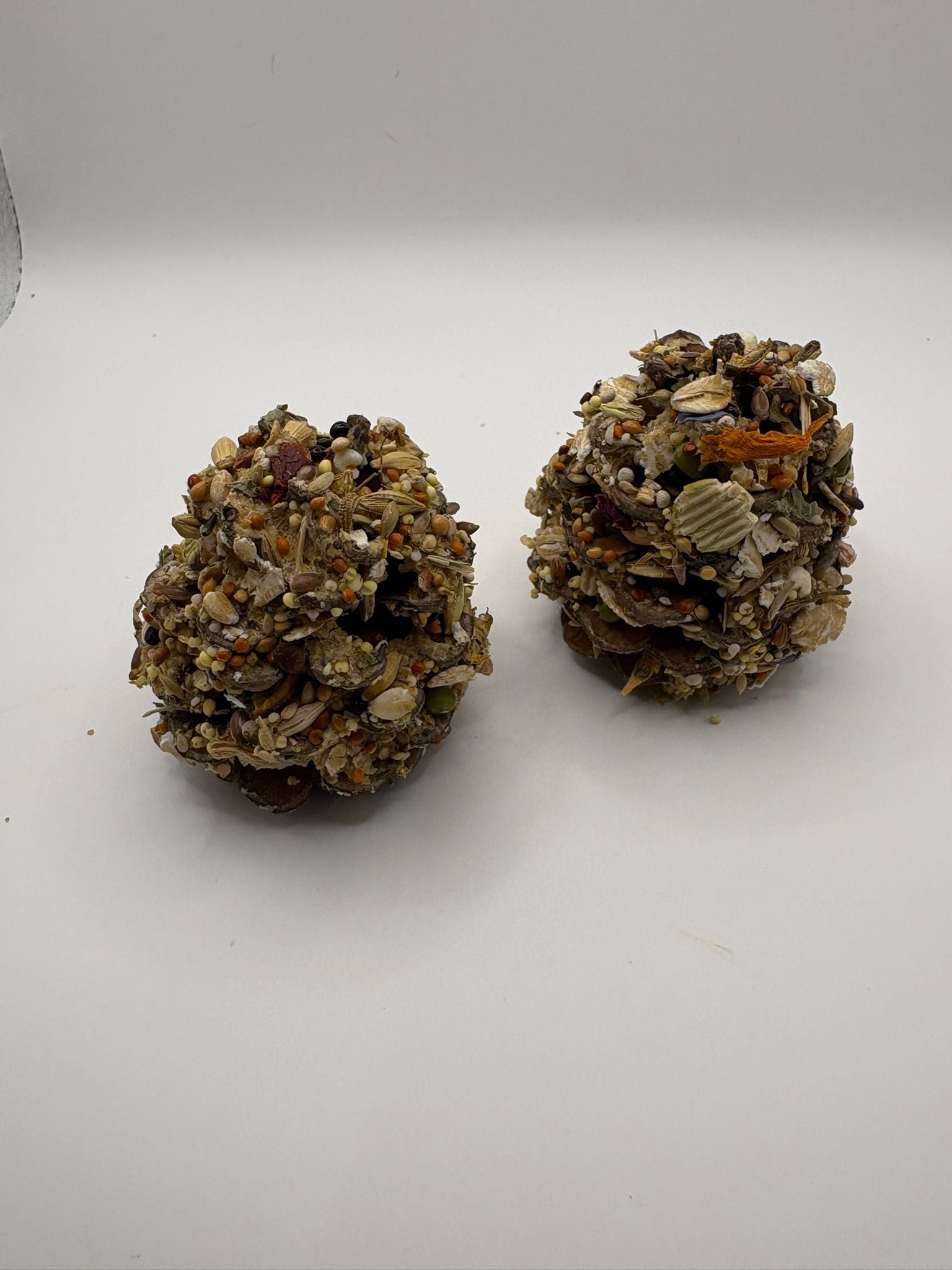 Seeded Forest Cones