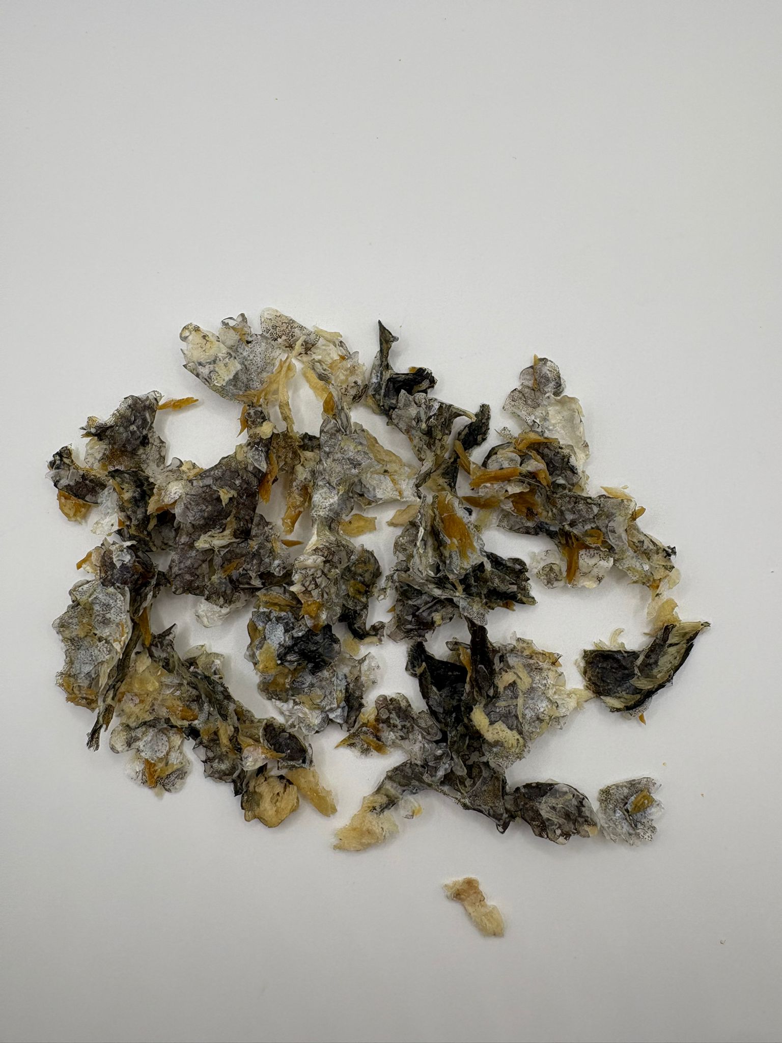 Ocean Skin Crunch